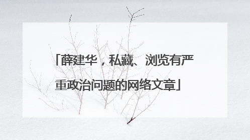 薛建华，私藏、浏览有严重政治问题的网络文章